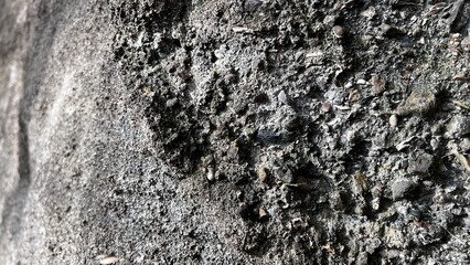 数百万年前の地層、地層の風景素材、岩肌の背景素材、半化石の表出する岩肌の風景