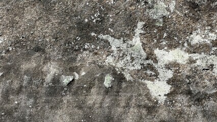 数百万年前の地層、地層の風景素材、岩肌の背景素材、半化石の表出する岩肌の風景