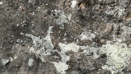 数百万年前の地層、地層の風景素材、岩肌の背景素材、半化石の表出する岩肌の風景