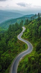 Serpentine Mountain Road Through Lush Forest