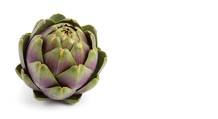 Obraz premium Fresh Artichoke Close-Up Studio Shot