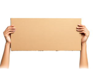 Unrecognizable man hands holding a protest banner with no message, with the sky in the background.PNG