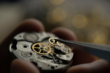 Man's hands repairing old watch, holding a part with tweezer.