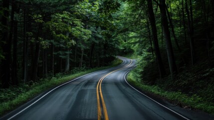Fototapeta premium Enigmatic Passageway in the Dark Enclave of the Forest