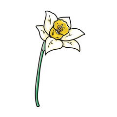 Hand-Drawn Daffodil Clipart Set – 14 PNG Floral Illustrations