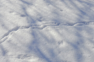 single boot print fresh untouched snow under bright sunlight hiking adventure winter walks outdoor journey direction leaving mark detective mystery footprints as evidence textures backgrounds patterns