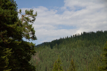 Nature