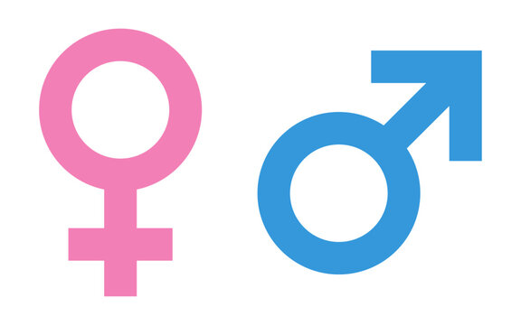 Pink female and blue male gender symbols in contrasting colors, representing diversity and equality, gender studies and health. Flat style vector design with isolated background.