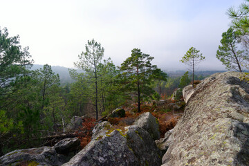 The Cailleau rock in winter season. Trois Pignons forest	