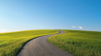 Serene Curved Road Through Lush Green Fields Under Clear Sky