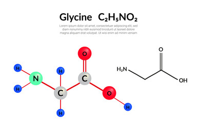 Glycine (symbol Gly) C2H5NO2 amino acid, molecular structural chemical formula, ball-and-stick model, suitable for education or chemistry science content. Vector illustration