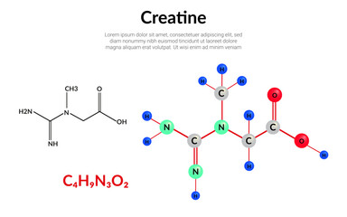 Creatine food supplement, molecular structure formula, ball-and-stick model, suitable for education or chemistry science content. Vector illustration