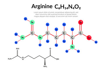 Arginine amino acid, molecular structural chemical formula, ball-and-stick model, suitable for education or chemistry science content. Vector illustration