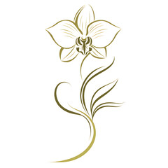 Obraz premium Logo of A single elegant orchid with flowing lines