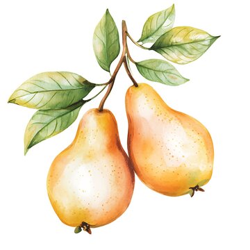 recommend clip art: Seamless pattern with pears. Hand drawn watercolor illustration.