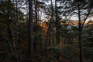 Kunishigatake, Koubushigatake and surrounding views