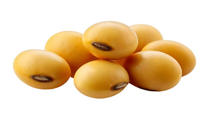 Fresh Yellow Soybeans on White Background for Healthy Eating
