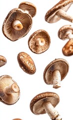 Sharp focus on shiitake mushrooms gracefully floating in the air, showcasing their unique shape and texture.