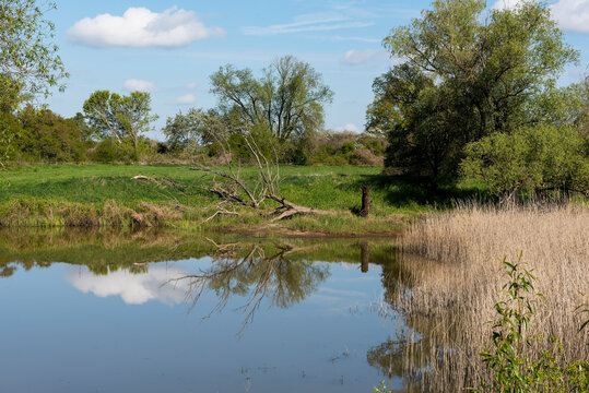 Bucher Brack - Naturlandschaft Elbtalaue