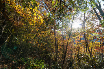 Kunishigatake, Koubushigatake and surrounding views