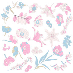 Vector illustration of hand-drawn flowers, lilies and leaves isolated on a white background.