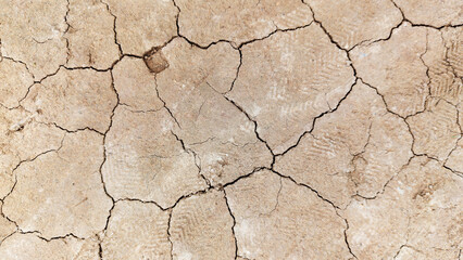 The ground has cracks in the top view for the background