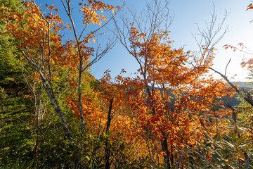 Kunishigatake, Koubushigatake and surrounding views