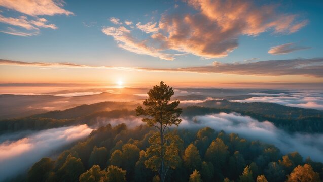 Sunrise over misty forest landscape with lone tree against colorful sky and clouds in tranquil nature setting
