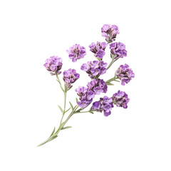 Obraz premium Delicate purple flower sprig serene beauty nature botanical elegance floral charm