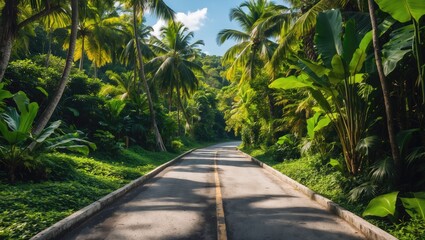 tropical road lined with palm trees and lush greenery under a clear blue sky in a peaceful environment