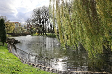Bright green scenery overlooking the lake