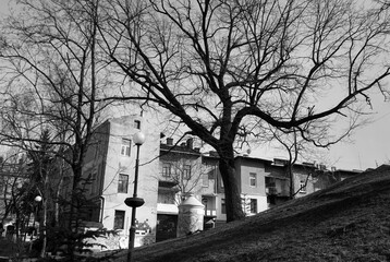 Graphic city in black and white