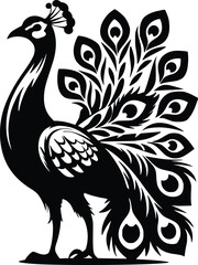 Fototapeta premium Peacock feather vector illustration, Simple Peacock on Branch Design
