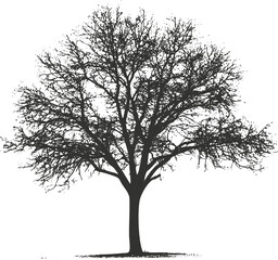 Silhouette of a leafless tree in black and white illustration.