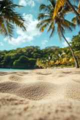 Low angle view of tropical exotic sandy beach close up with palms and seascape view. Summer holiday concept and travel background.