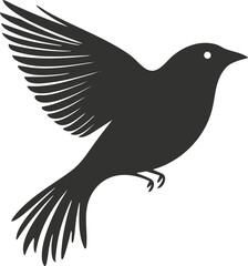 Obraz premium Silhouette of a bird in flight with spread wings on white background.