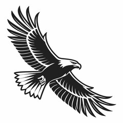 Obraz premium his stylized, graphic illustration showcases a detailed line drawing Line Art Illustration of an Eagle's