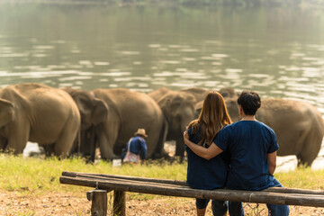 Fototapeta premium Back view Asian couples in indigo clothing sitting on bench and looking elephant bathing in river