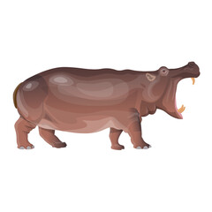 Hippo with wide open mouth. African animal. Vector illustration isolated on a white background in a realistic style