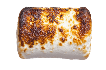 Roasting a single marshmallow a stick transparent background outdoor campfire concept