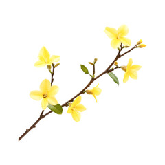 Obraz premium Delicate Yellow Forsythia Branch Blooming Beautifully in Springtime