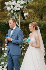 wedding ceremony of the newlyweds on the glade