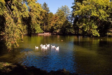 Fototapeta premium The garden of royal palace of Monza city near Milan