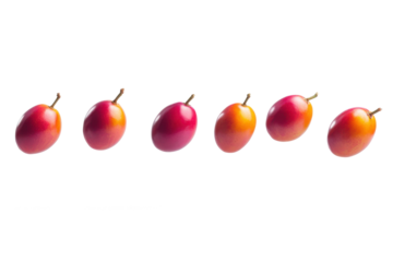 grocerries and vegetables, fruits 