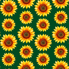 A seamless sunflower pattern on a deep green background. The golden petals radiate warmth and contrast beautifully with the lush backdrop, creating a vibrant floral design.