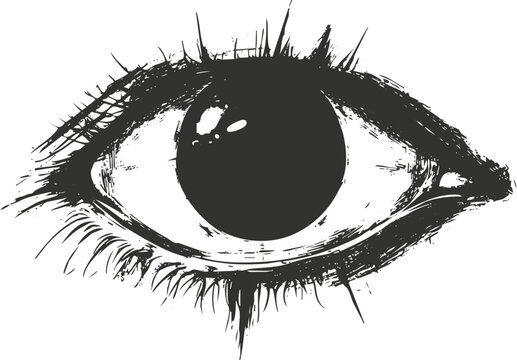 Black and white sketch illustration of a detailed human eye.