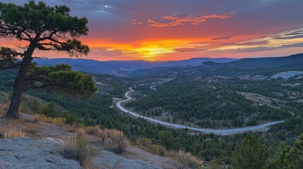 Fototapeta premium Breathtaking sunset over a winding road through a lush green valley with a majestic tree in the foreground creating a scenic vista