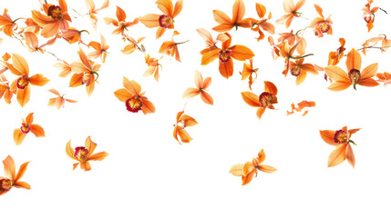 Obraz premium Floating Orange Orchid Flowers on Transparent Background, Elegant Floral Design
