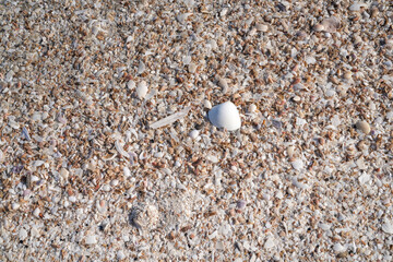 Sandy beach at low tide for background image.