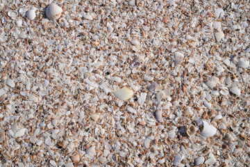 Sandy beach at low tide for background image.